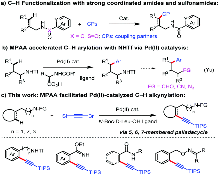 Weak Coordinated Nitrogen Functionality Enabled Regioselective C H Alkynylation Via Pd Ii Mono N Protected Amino Acid Catalysis Chemical Communications Rsc Publishing