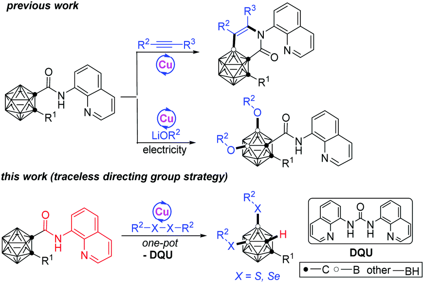 8 Aminoquinoline As A Bidentate Traceless Directing Group For Cu Catalyzed Selective B 4 5 H Disulfenylation Of O Carboranes Chemical Communications Rsc Publishing