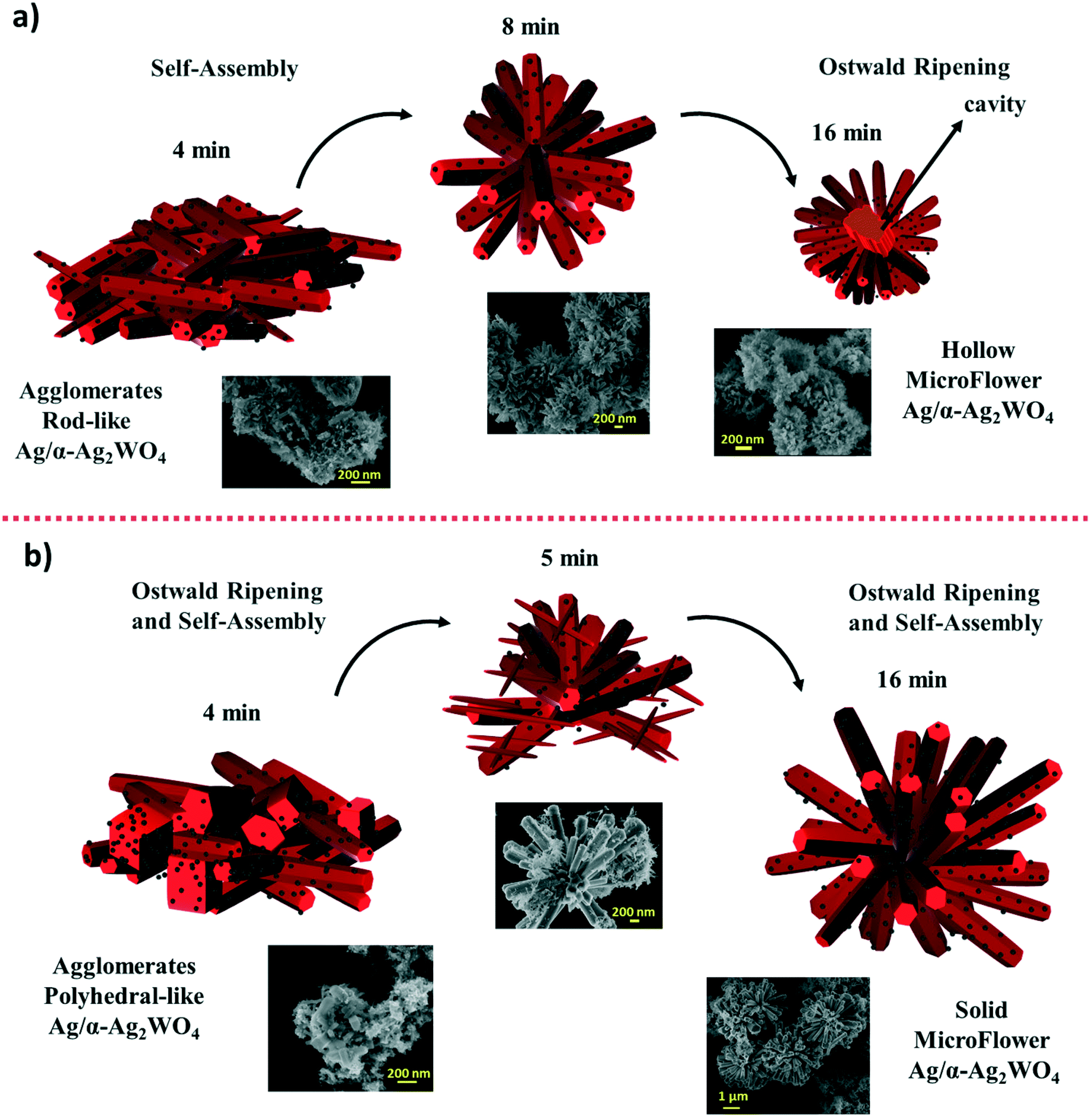 Multi Dimensional Architecture Of Ag A Ag2wo4 Crystals Insights Into Microstructural Morphological And Photoluminescence Properties Crystengcomm Rsc Publishing