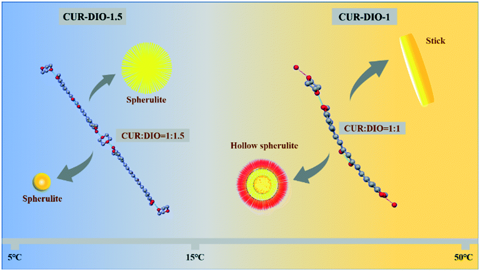 The Formation Mechanism Of Hollow Spherulites And Molecular Conformation Of Curcumin And Solvate Crystengcomm Rsc Publishing The Formation Mechanism Of Hollow Spherulites And Molecular Conformation Of Curcumin And Solvate Crystengcomm Rsc Publishing