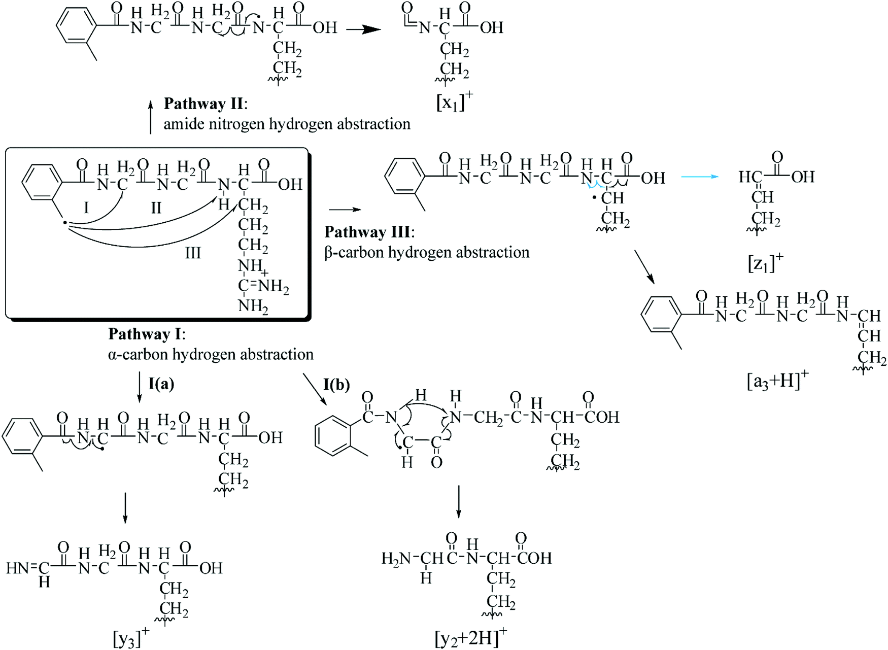 Graph Theory Based Reaction Pathway Searches And Dft Calculations For The Mechanism Studies Of Free Radical Initiated Peptide Sequencing Mass Spectrometry Frips Ms A Model Gas Phase Reaction Of Ggr Tri Peptide Physical Chemistry Chemical