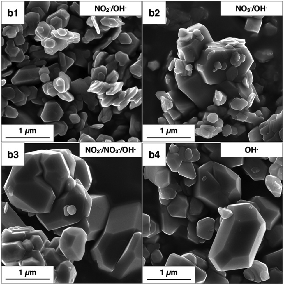 Ion Ion Interactions Enhance Aluminum Solubility In Alkaline Suspensions Of Nano Gibbsite A Al Oh 3 With Sodium Nitrite Nitrate Physical Chemistry Chemical Physics Rsc Publishing