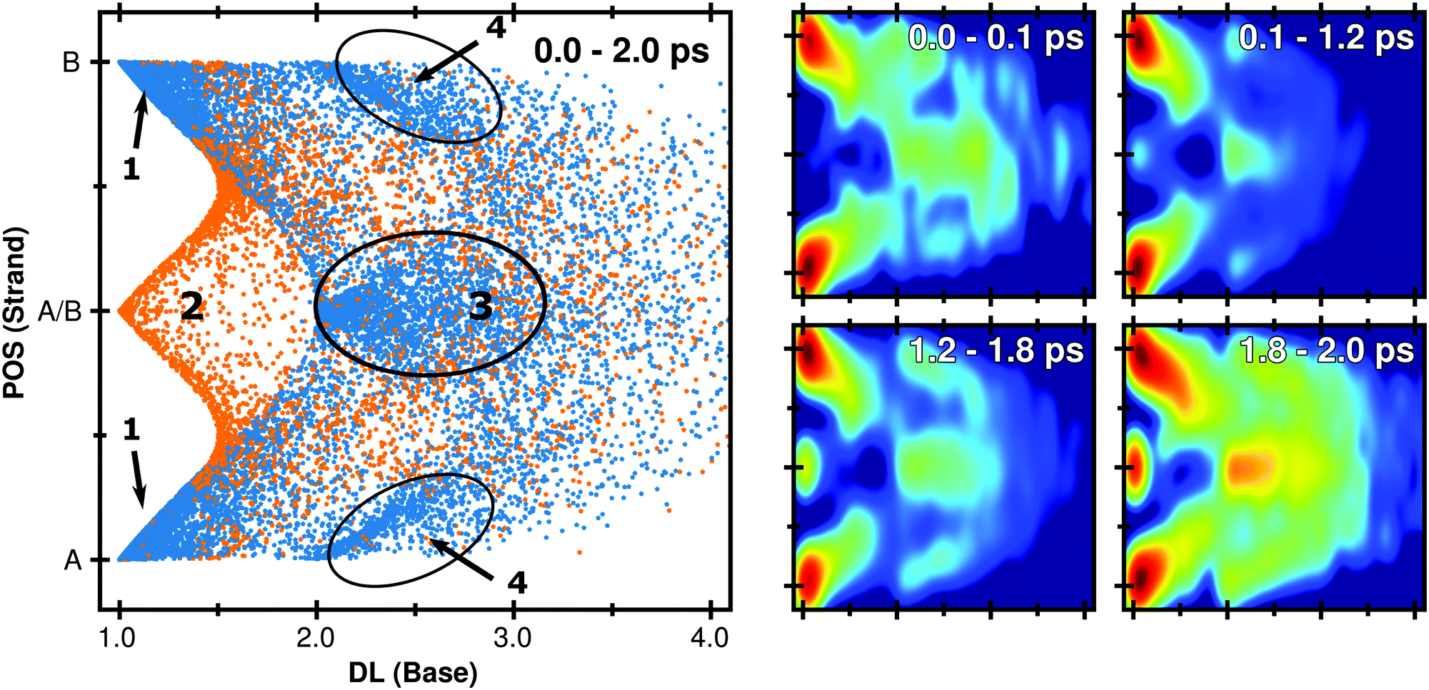 Excitation Energy Transport In Dna Modelled By Multi Chromophoric Field Induced Surface Hopping Physical Chemistry Chemical Physics Rsc Publishing