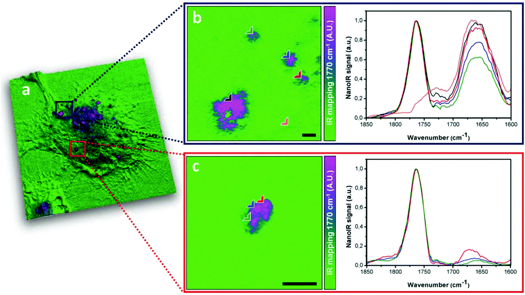 Infrared And Raman Chemical Imaging And Spectroscopy At The Nanoscale Chemical Society Reviews Rsc Publishing