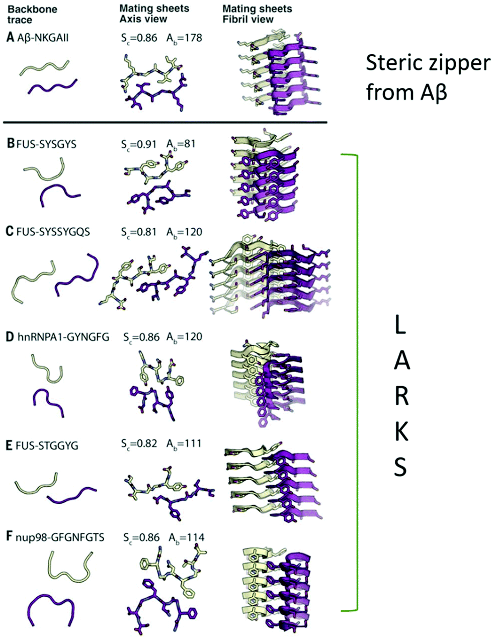 Half A Century Of Amyloids Past Present And Future Chemical Society Reviews Rsc Publishing