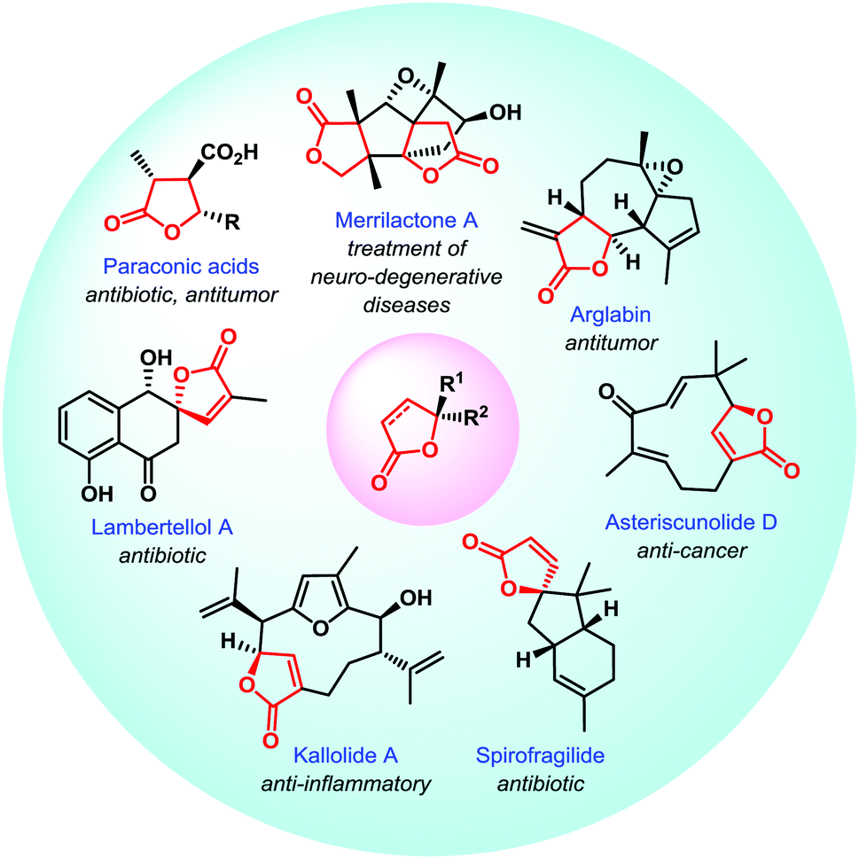 Deconjugated Butenolide A Versatile Building Block For Asymmetric Catalysis Chemical Society Reviews Rsc Publishing