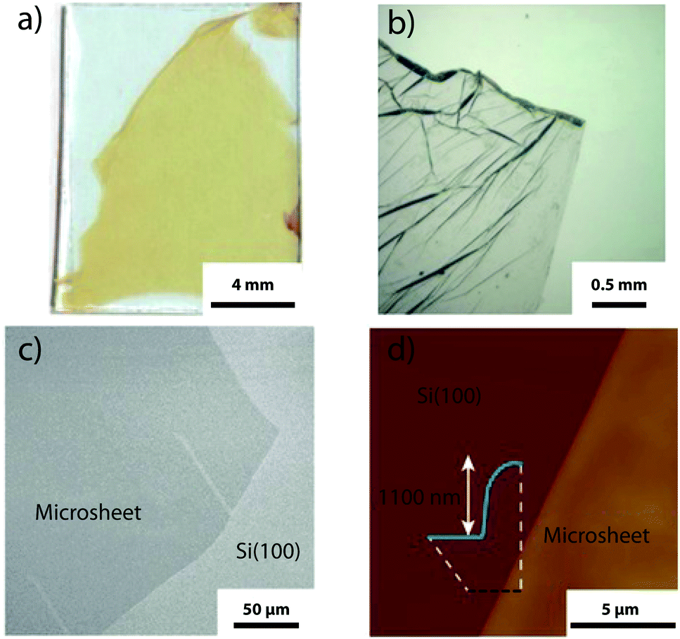 Electrical Conductivity And Magnetic Bistability In Metal Organic Frameworks And Coordination Polymers Charge Transport And Spin Crossover At The Nanoscale Chemical Society Reviews Rsc Publishing