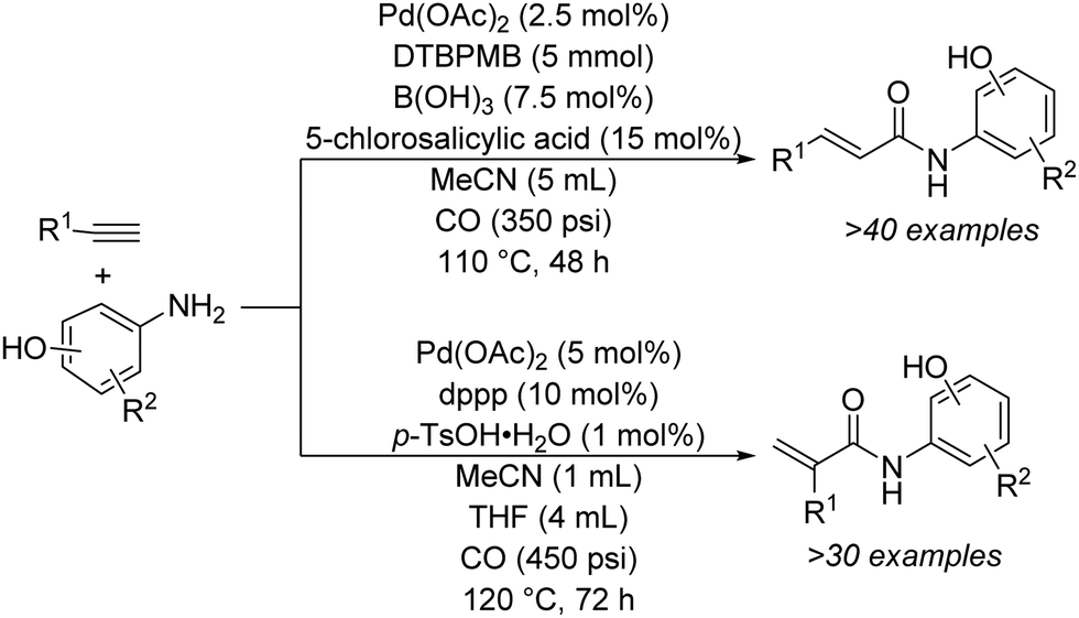 Synthesis Of A B Unsaturated Carbonyl Compounds By Carbonylation Reactions Chemical Society Reviews Rsc Publishing