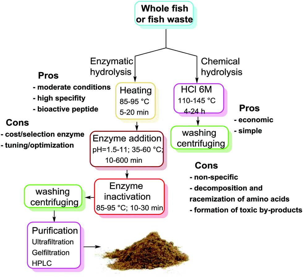 Upgrading Of Marine Fish And Crustaceans Biowaste For High Added Value Molecules And Bio Nano Materials Chemical Society Reviews Rsc Publishing