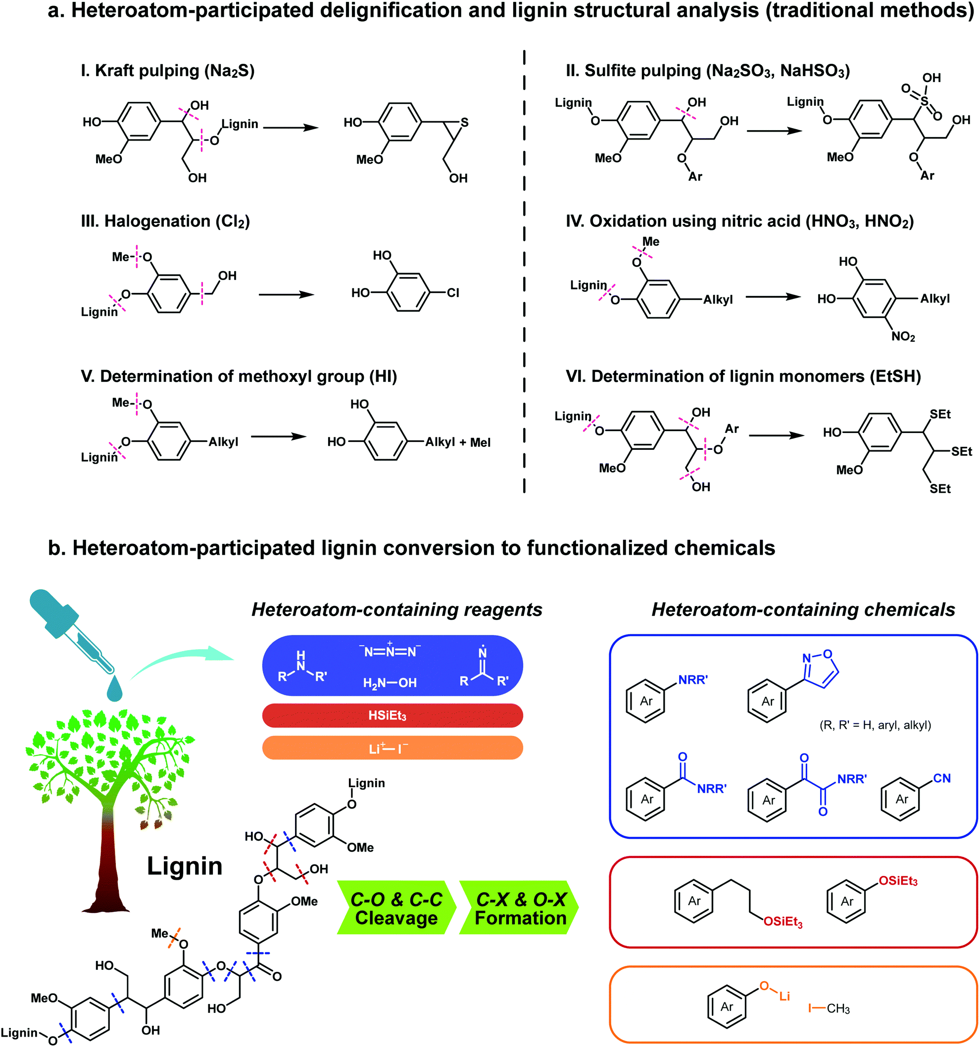 Heteroatom Participated Lignin Cleavage To Functionalized Aromatics Chemical Society Reviews Rsc Publishing