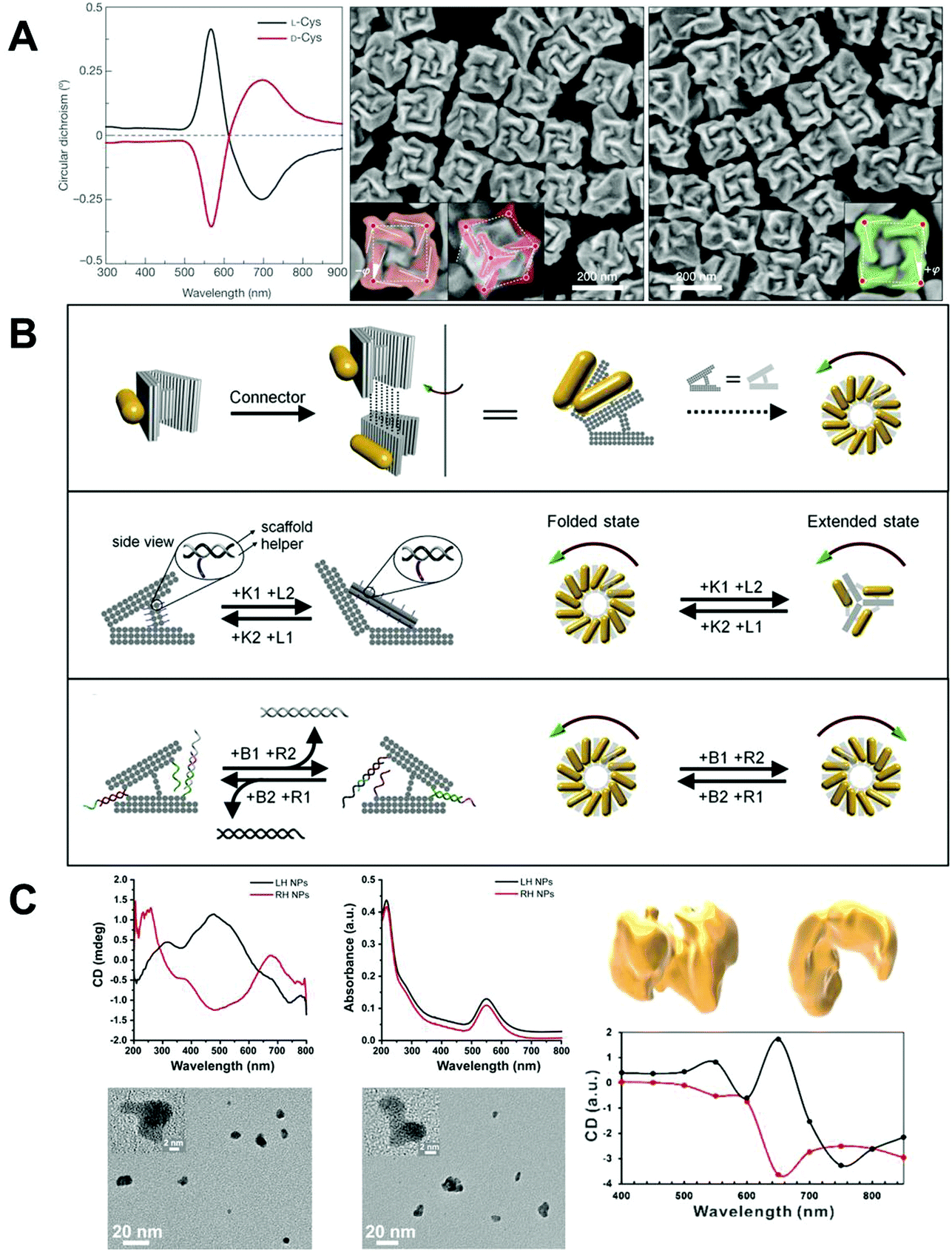 Stereospecific Interactions Between Chiral Inorganic Nanomaterials And Biological Systems Chemical Society Reviews Rsc Publishing