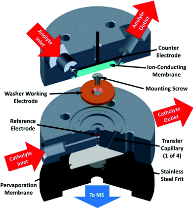 Molecular catalysis of CO 2 reduction: recent advances and perspectives ...