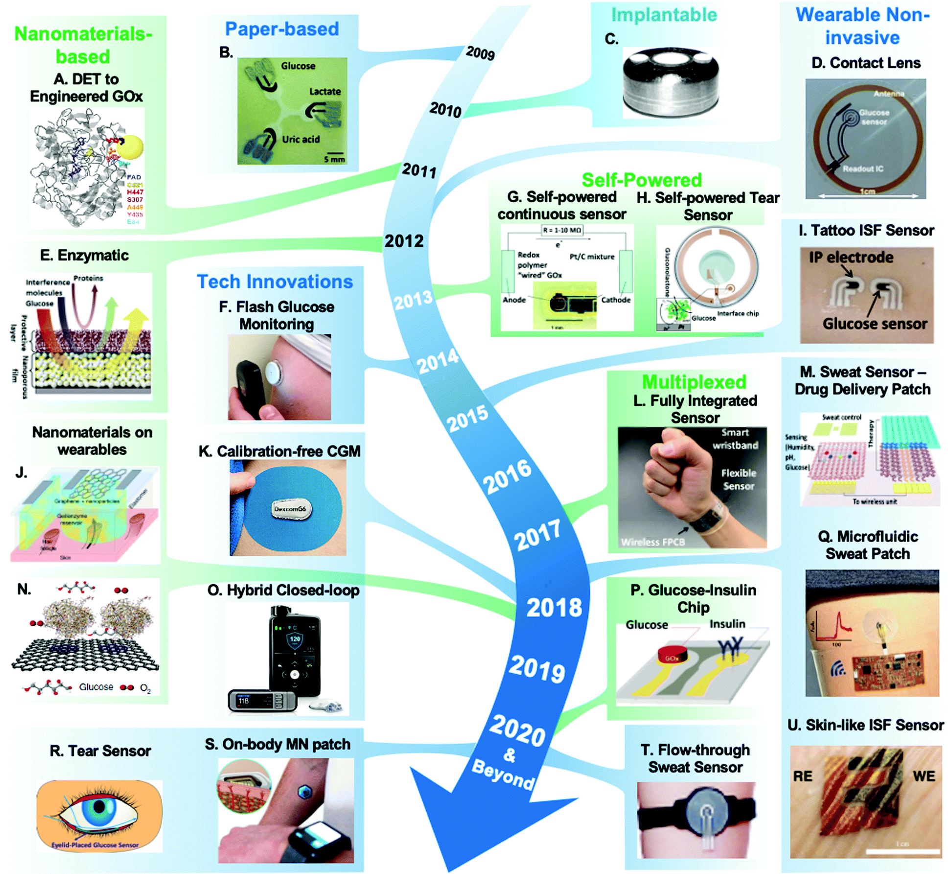Electrochemical Glucose Sensors In Diabetes Management An Updated Review 10 Chemical Society Reviews Rsc Publishing