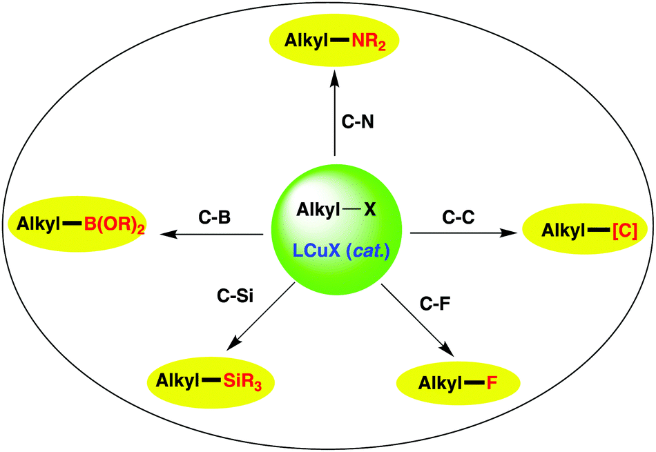 C C And C X Coupling Reactions Of Unactivated Alkyl Electrophiles Using Copper Catalysis Chemical Society Reviews Rsc Publishing
