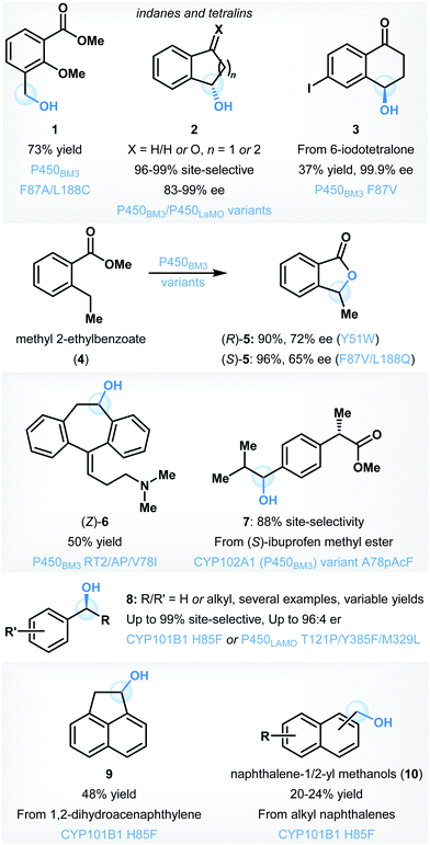 Scalable Biocatalytic C H Oxyfunctionalization Reactions Chemical Society Reviews Rsc Publishing