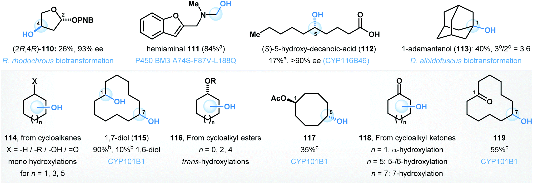 Scalable Biocatalytic C H Oxyfunctionalization Reactions Chemical Society Reviews Rsc Publishing