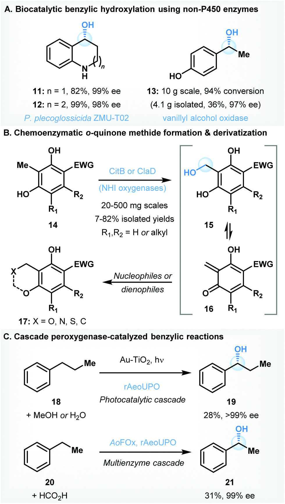 Scalable Biocatalytic C H Oxyfunctionalization Reactions Chemical Society Reviews Rsc Publishing