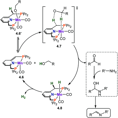 Strategies And Mechanisms Of Metal Ligand Cooperativity In First Row Transition Metal Complex Catalysts Chemical Society Reviews Rsc Publishing