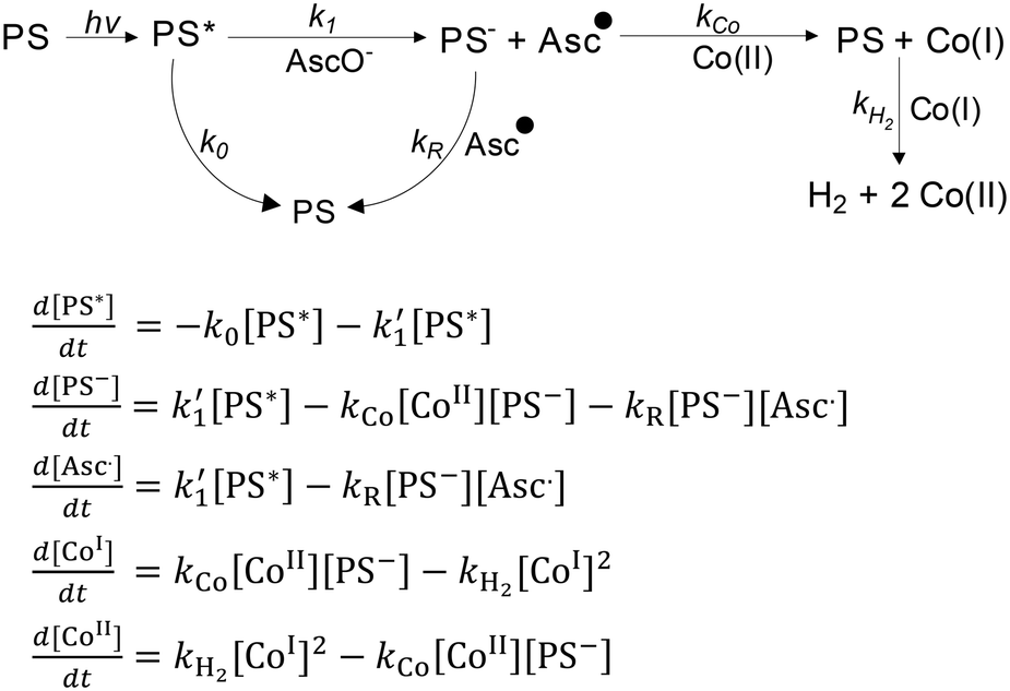 Mechanistic Insights Into Photocatalysis And Over Two Days Of Stable H2 Generation In Electrocatalysis By A Molecular Cobalt Catalyst Immobilized On Tio2 Catalysis Science Technology Rsc Publishing