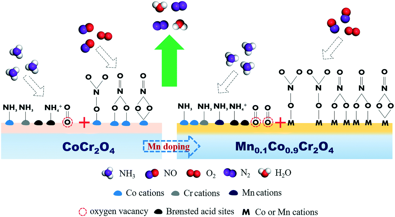 Understanding The Co Effects Of Manganese And Cobalt On The Enhanced Scr Performance For Mnxco1 Xcr2o4 Spinel Type Catalysts Catalysis Science Technology Rsc Publishing