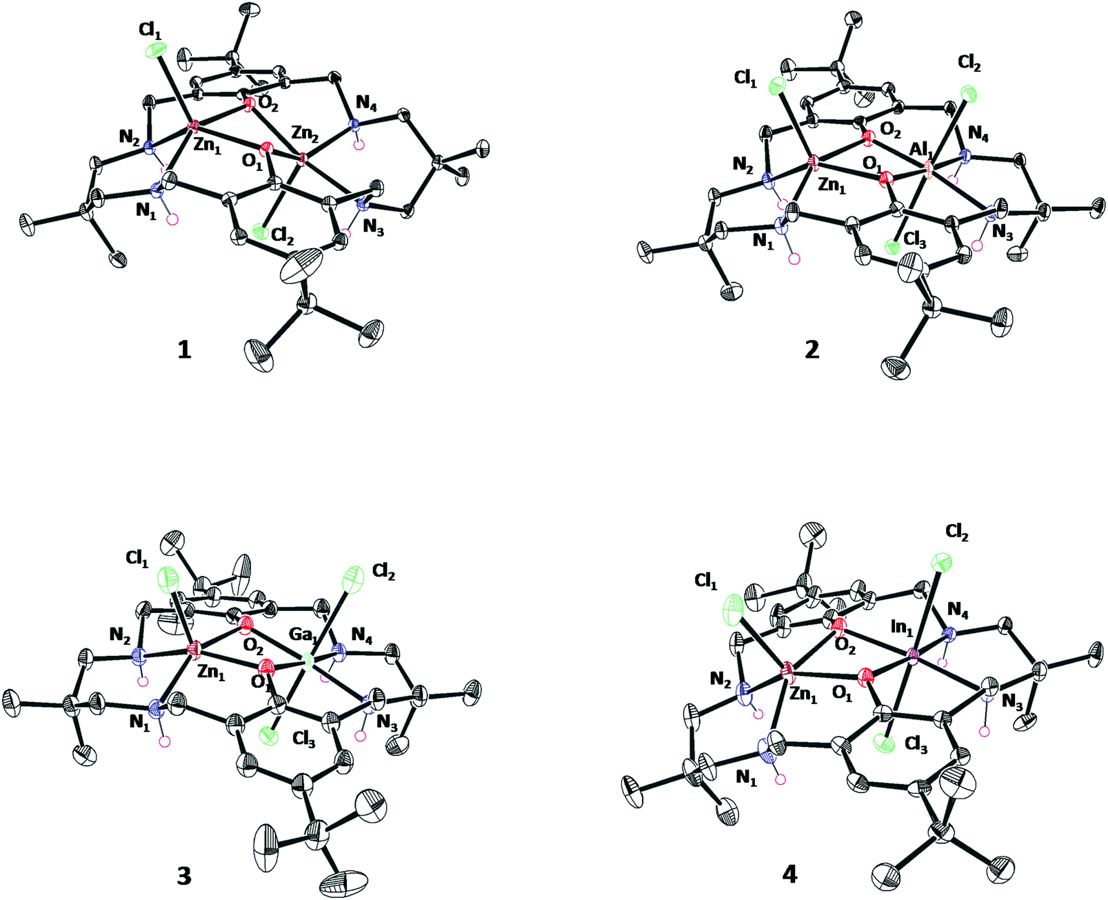 Heterodinuclear complexes featuring Zn( ii ) and M = Al( iii ), Ga( iii ...