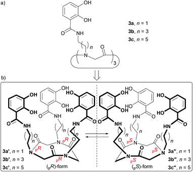 Peptoid Based Siderophore Mimics As Dinuclear Fe3 Chelators Dalton Transactions Rsc Publishing