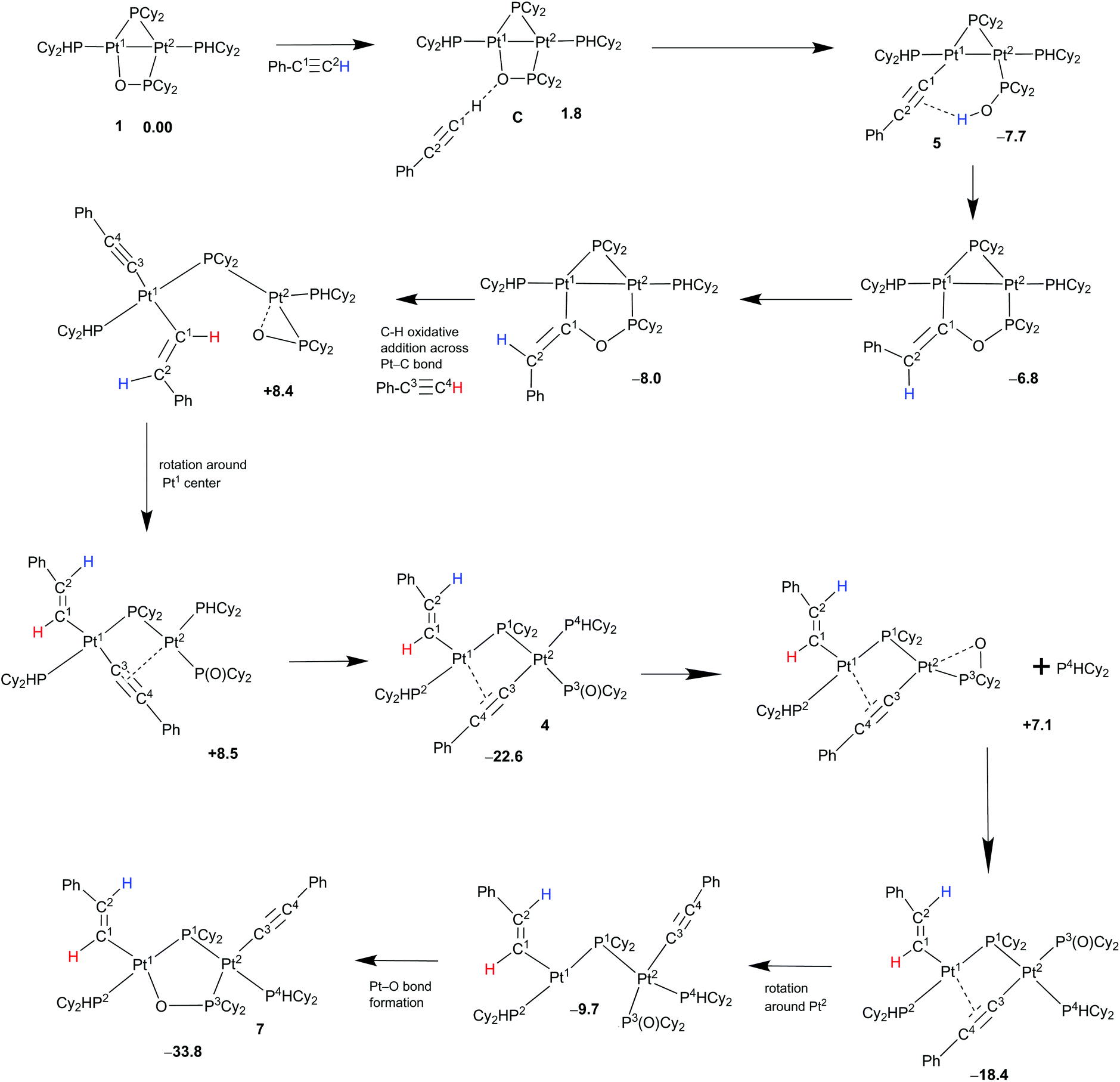 Double Addition Of Phenylacetylene Onto The Mixed Bridge Phosphinito Phosphanido Pt I Complex Phcy2 Pt M Pcy2 K2p O M P O Cy2 Pt Phcy2 Pt Pt Dalton Transactions Rsc Publishing