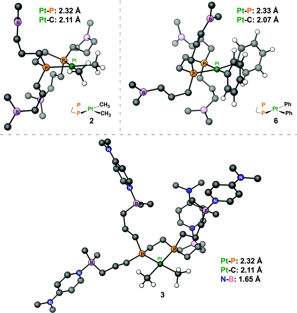 Platinum Complexes Of A Boron Rich Diphosphine Ligand Dalton Transactions Rsc Publishing
