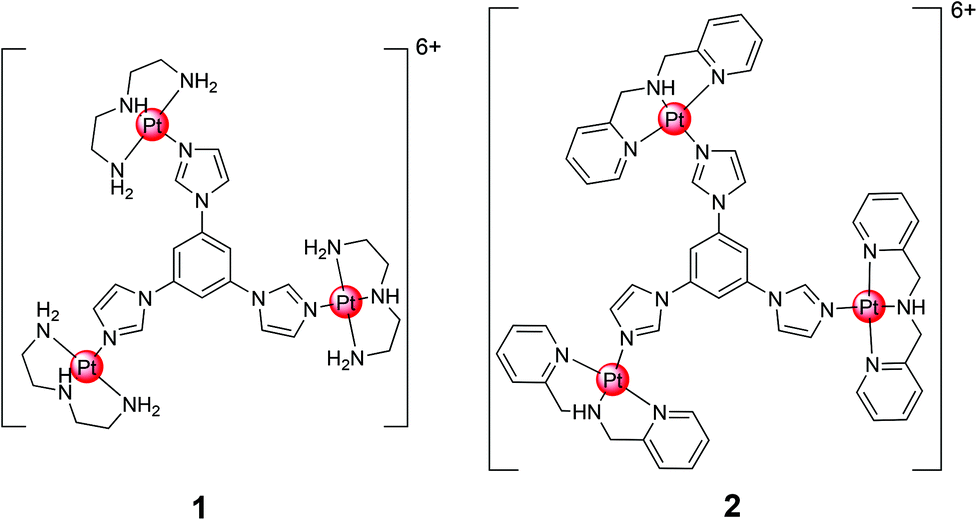 Two Novel Fan Shaped Trinuclear Pt Ii Complexes Act As G Quadruplex Binders And Telomerase Inhibitors Dalton Transactions Rsc Publishing