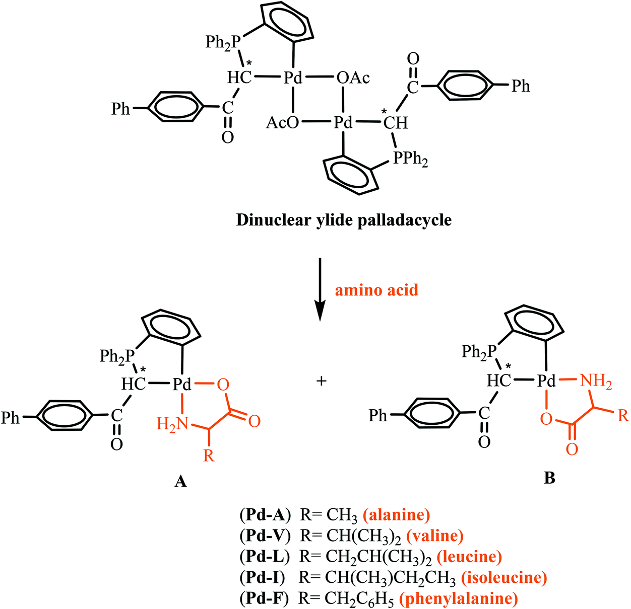 Potent Cyclometallated Pd Ii Antitumor Complexes Bearing A Amino Acids Synthesis Structural Characterization Dna Bsa Binding Cytotoxicity And Molecular Dynamics Simulation Dalton Transactions Rsc Publishing