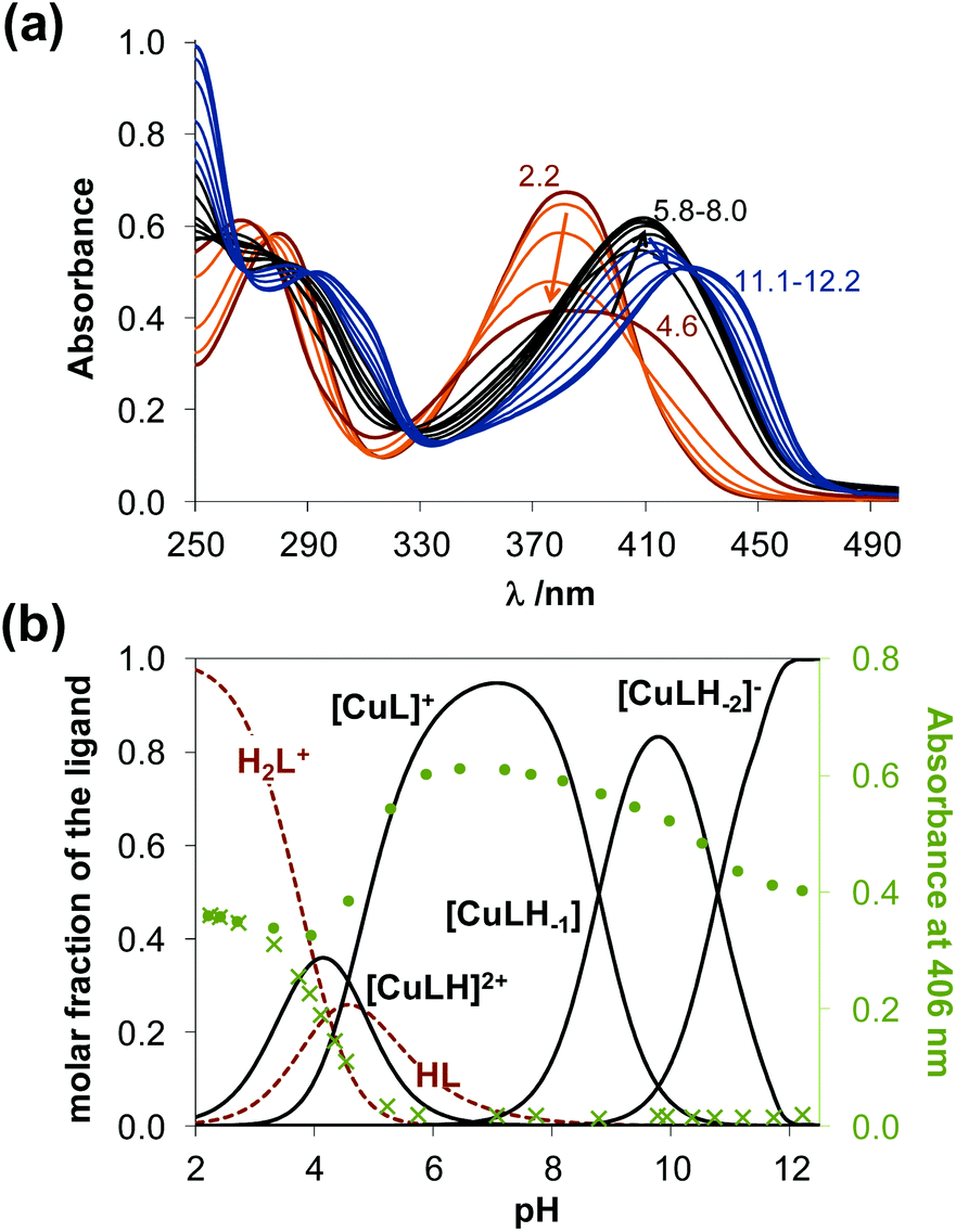 Complex Formation And Cytotoxicity Of Triapine Derivatives A Comparative Solution Study On The Effect Of The Chalcogen Atom And Nh Methylation Dalton Transactions Rsc Publishing