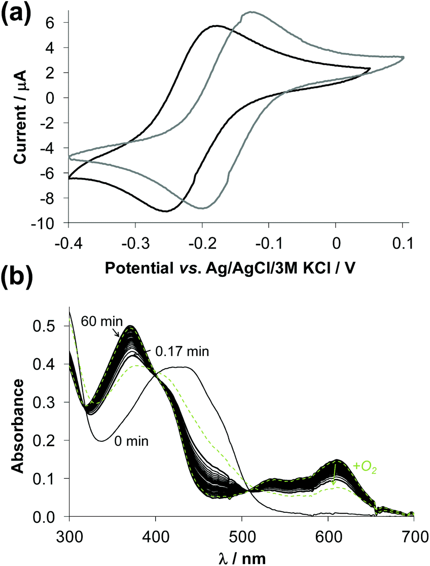 Complex Formation And Cytotoxicity Of Triapine Derivatives A Comparative Solution Study On The Effect Of The Chalcogen Atom And Nh Methylation Dalton Transactions Rsc Publishing