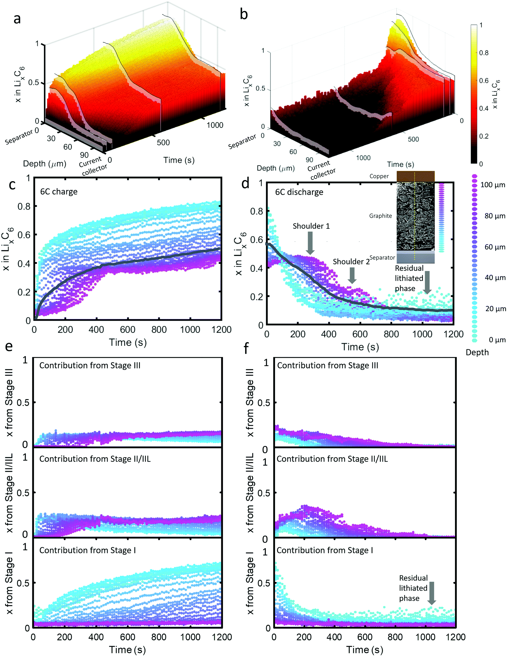 Spatial dynamics of lithiation and lithium plating during highrate