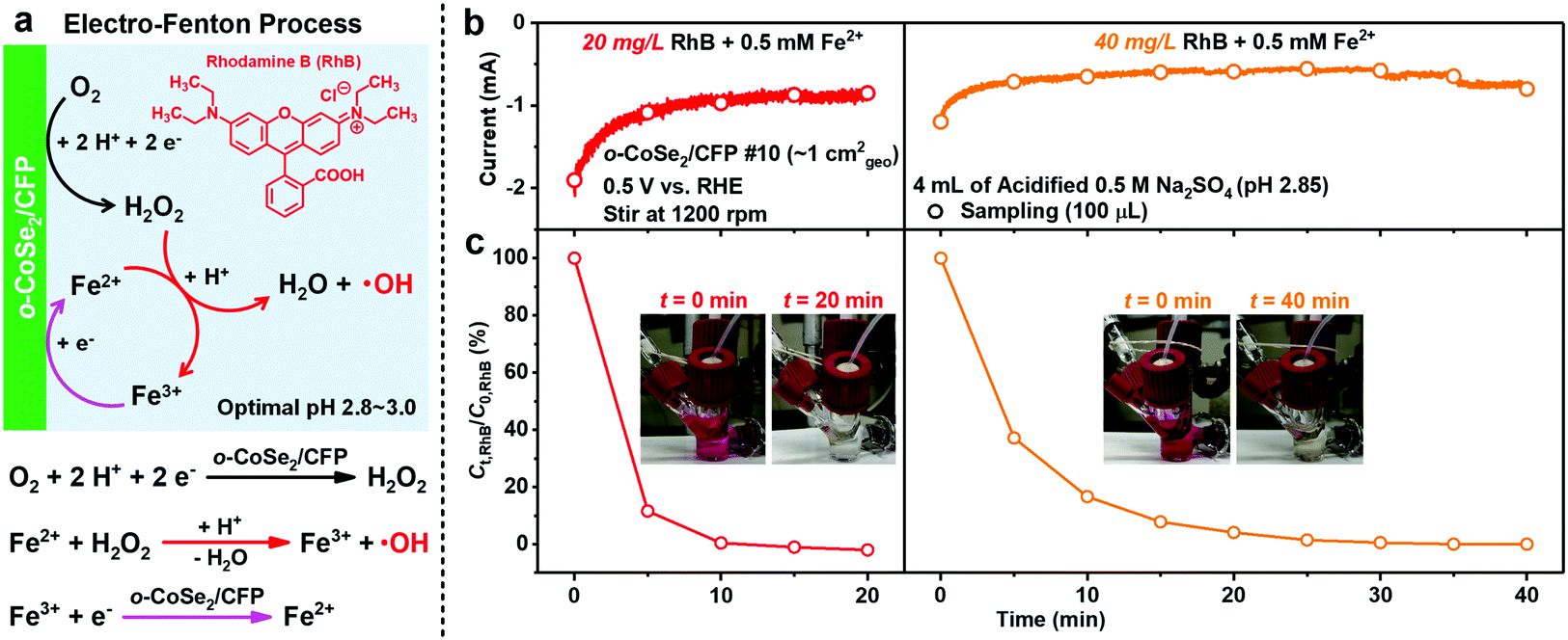 Stable And Selective Electrosynthesis Of Hydrogen Peroxide And The Electro Fenton Process On Cose2 Polymorph Catalysts Energy Environmental Science Rsc Publishing