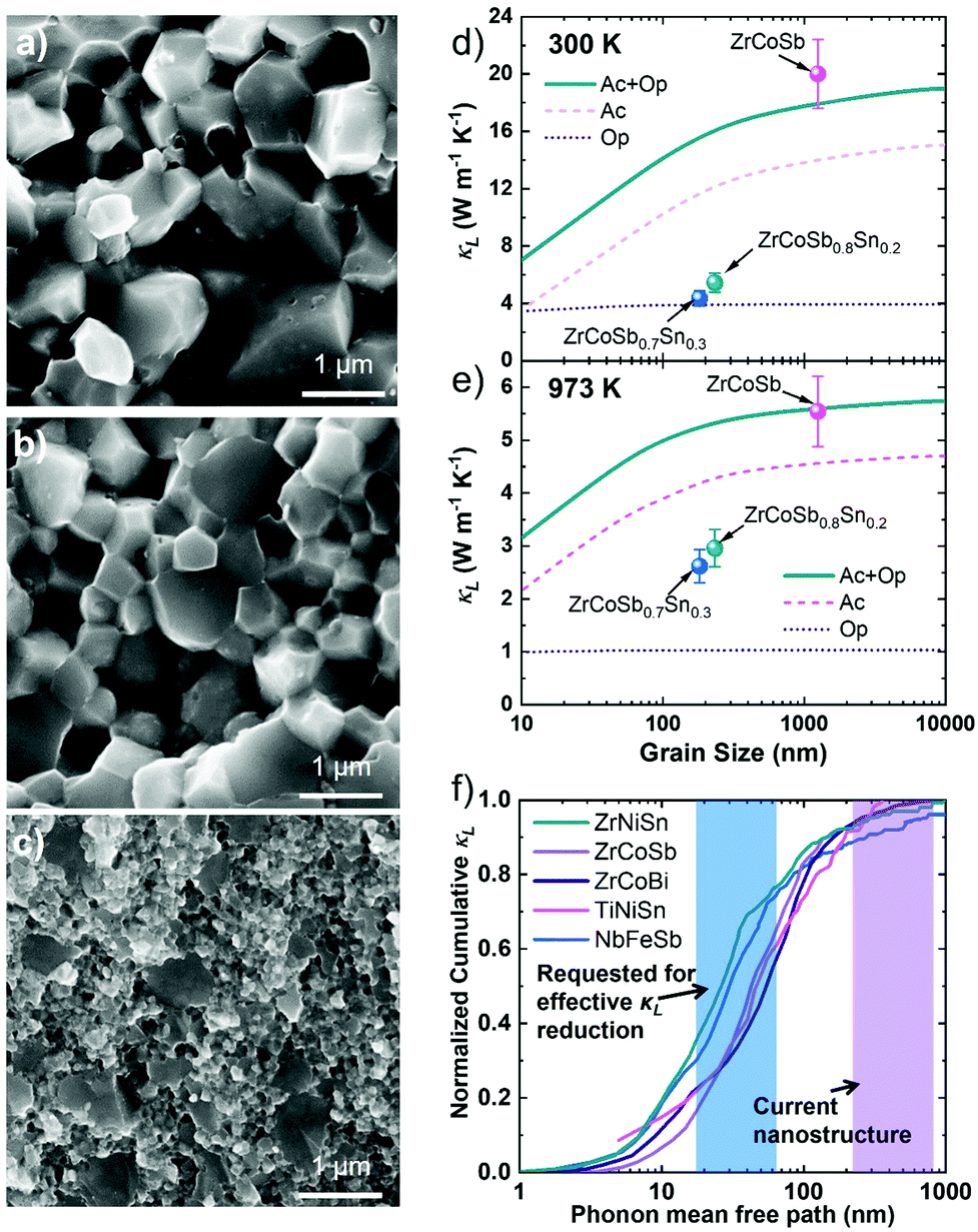 Unveiling The Phonon Scattering Mechanisms In Half Heusler Thermoelectric Compounds Energy Environmental Science Rsc Publishing