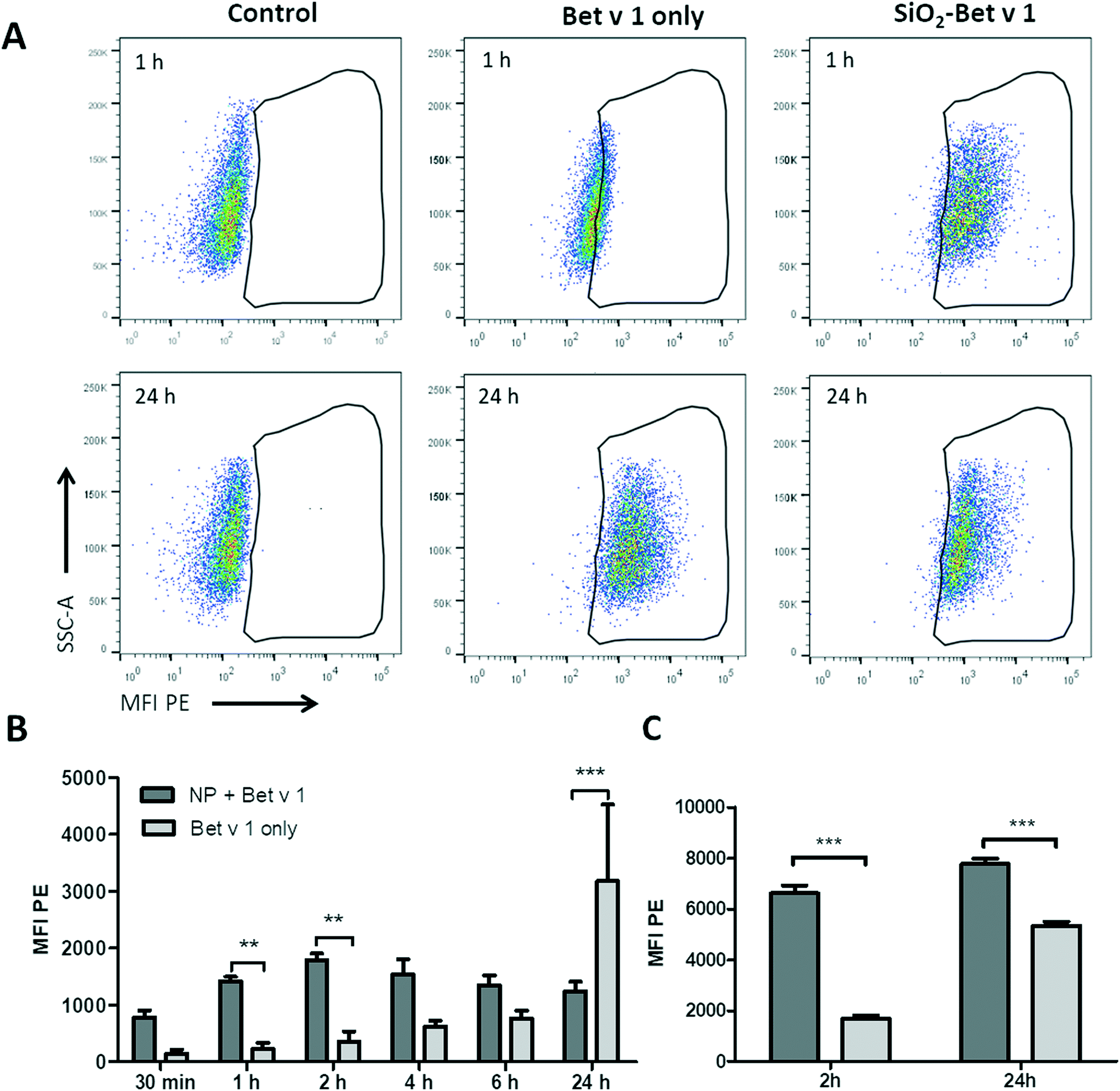 Biological Effects Of Allergen Nanoparticle Conjugates Uptake And Immune Effects Determined On Haelvi Cells Under Submerged Vs Air Liquid Interface Conditions Environmental Science Nano Rsc Publishing
