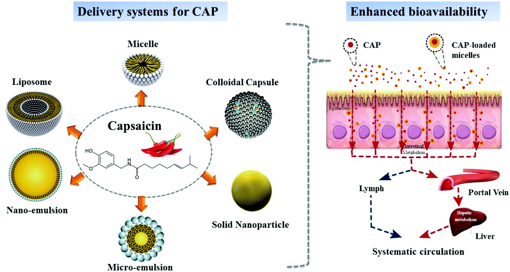 Capsaicin The Major Bioactive Ingredient Of Chili Peppers Bio Efficacy And Delivery Systems Food Function Rsc Publishing