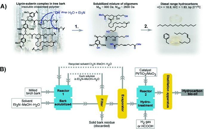 Conversion of birch bark to biofuels - Green Chemistry (RSC Publishing ...