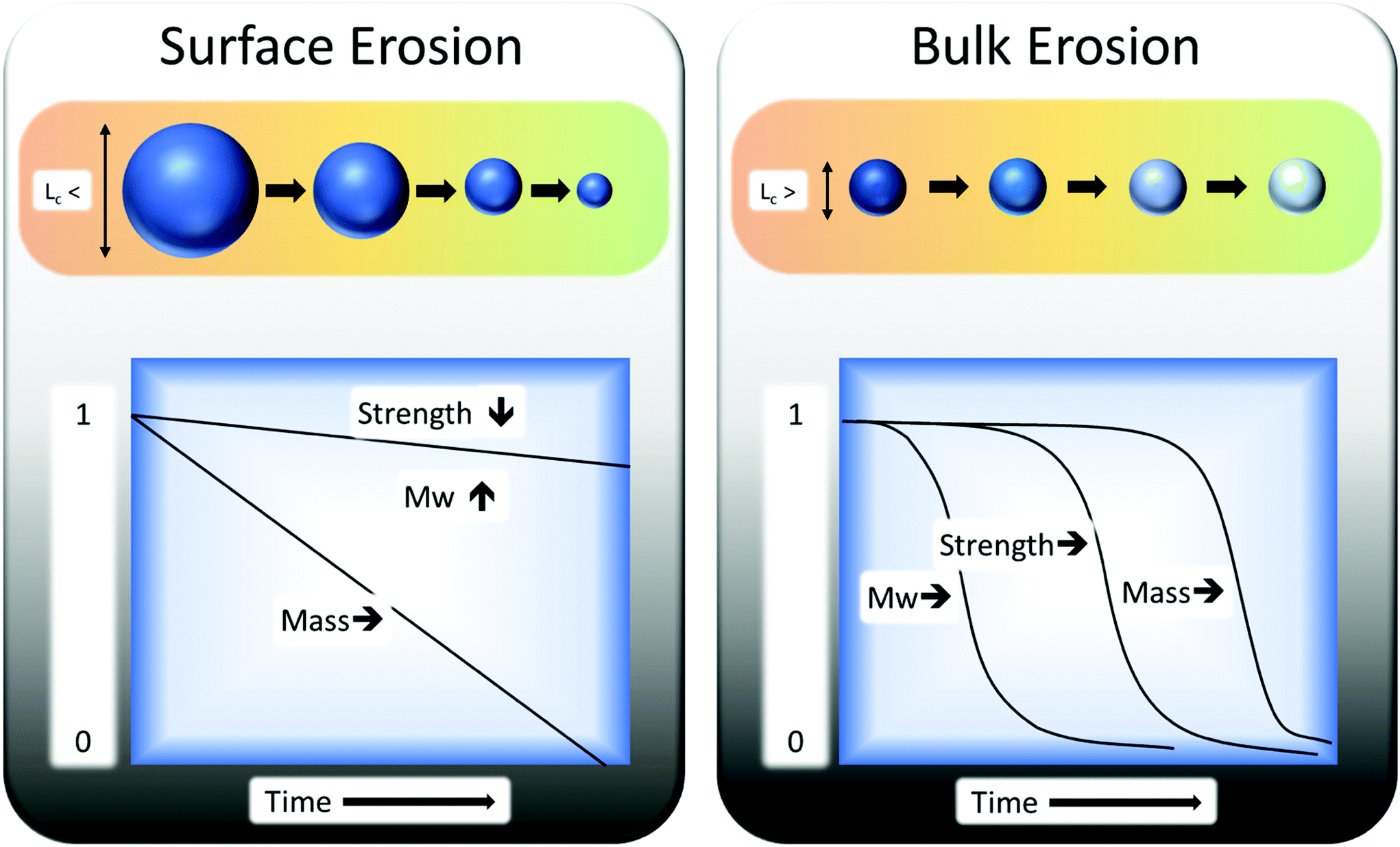 Review Of Recent Advances In The Biodegradability Of Polyhydroxyalkanoate Pha Bioplastics And Their Composites Green Chemistry Rsc Publishing