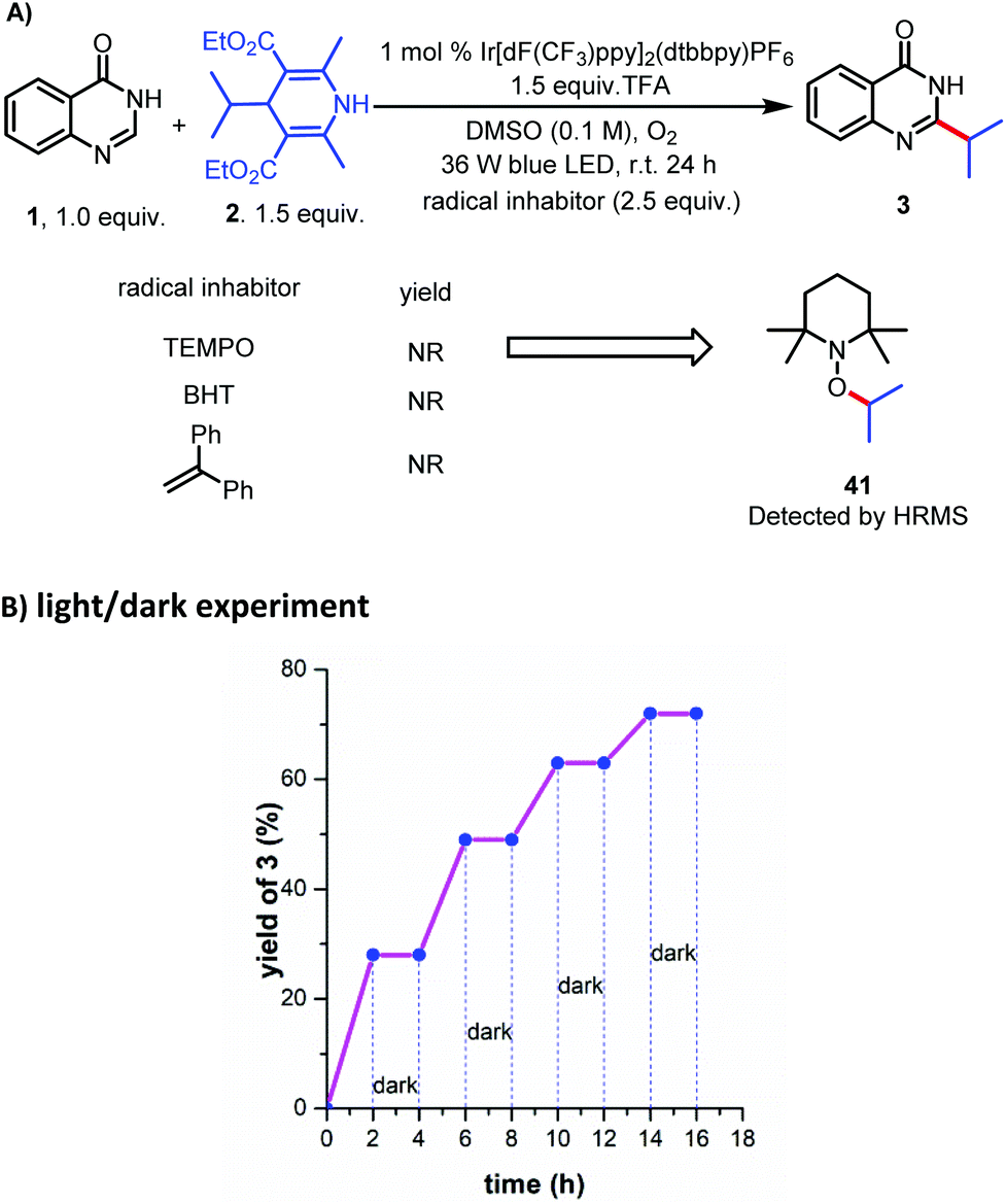 Visible Light Mediated Minisci C H Alkylation Of Heteroarenes With 4 Alkyl 1 4 Dihydropyridines Using O2 As An Oxidant Green Chemistry Rsc Publishing