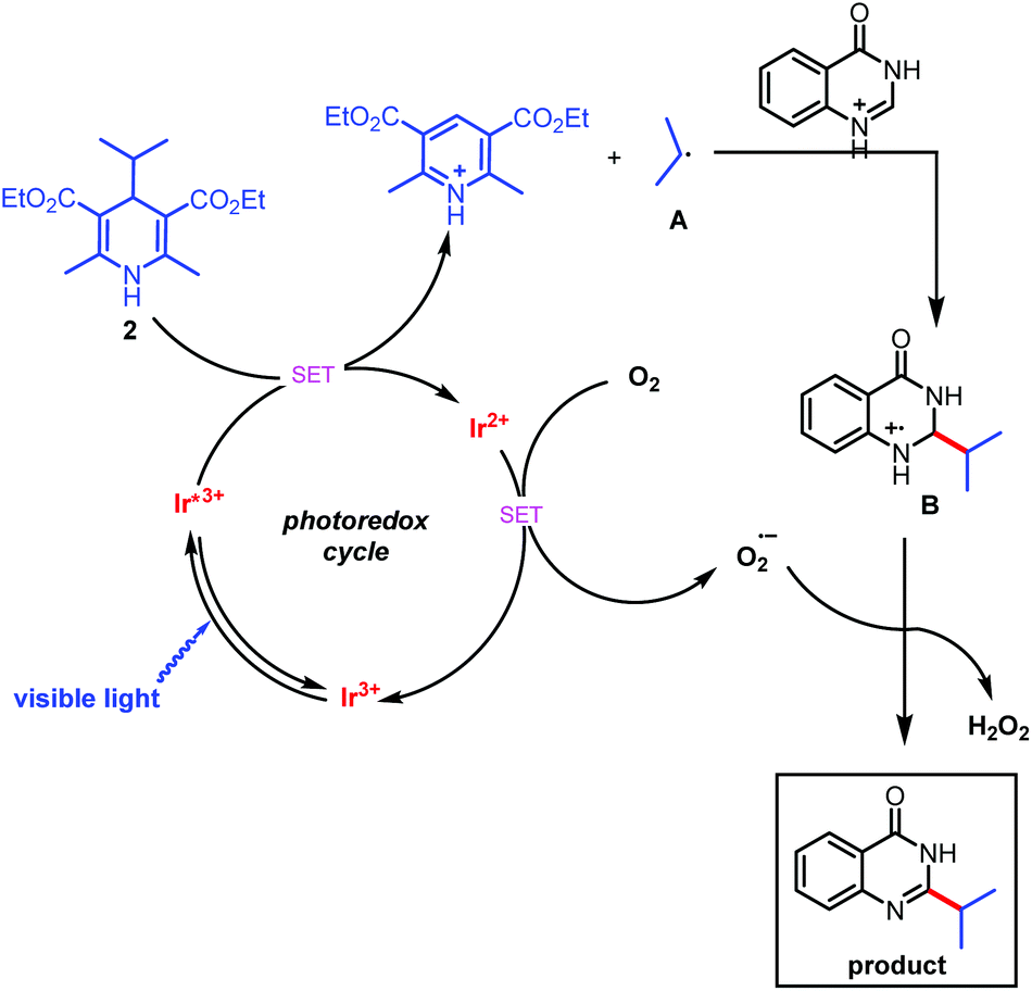 Visible Light Mediated Minisci C H Alkylation Of Heteroarenes With 4 Alkyl 1 4 Dihydropyridines Using O2 As An Oxidant Green Chemistry Rsc Publishing