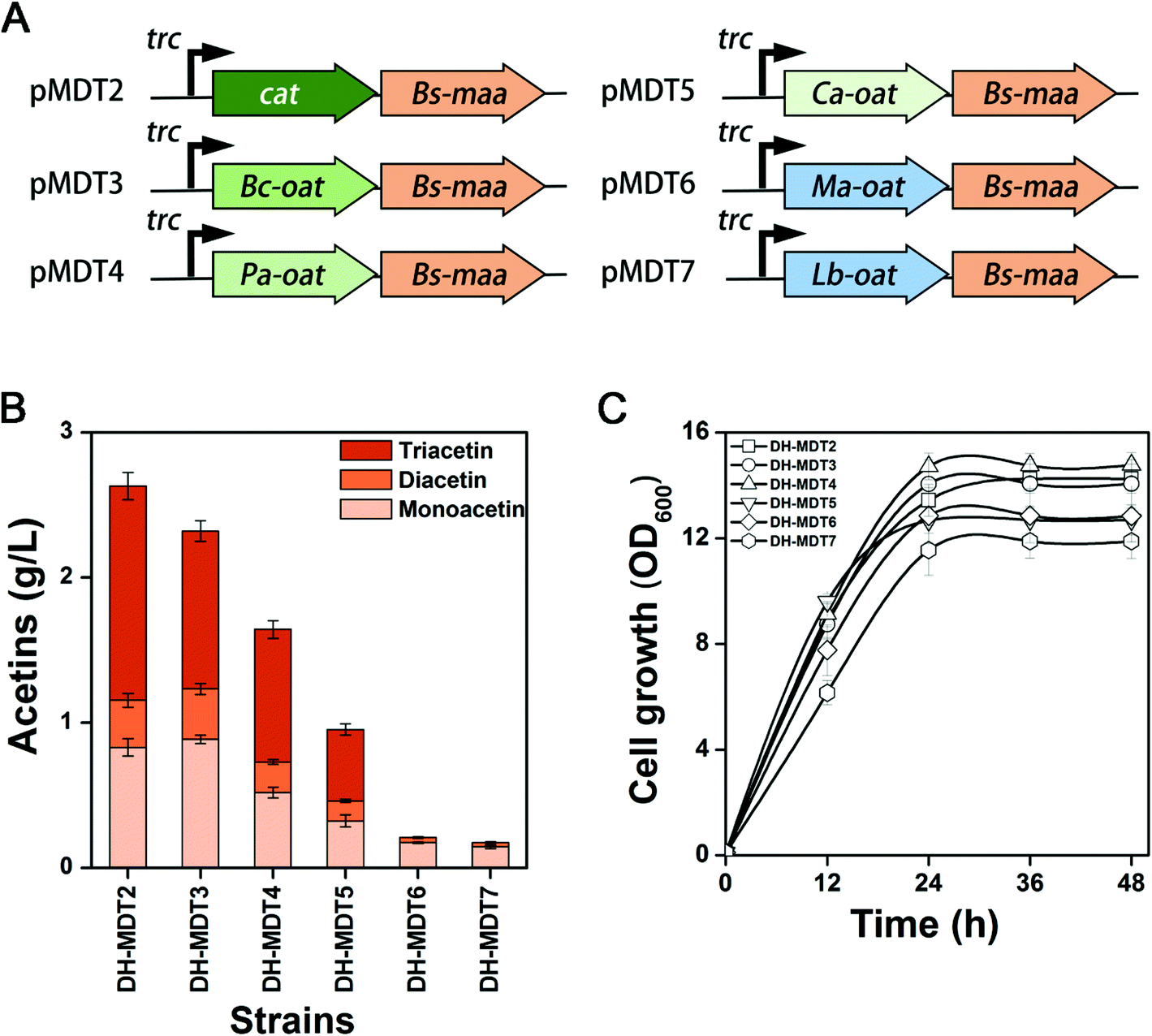 Metabolic Engineering Of Escherichia Coli For Production Of Non Natural Acetins From Glycerol Green Chemistry Rsc Publishing