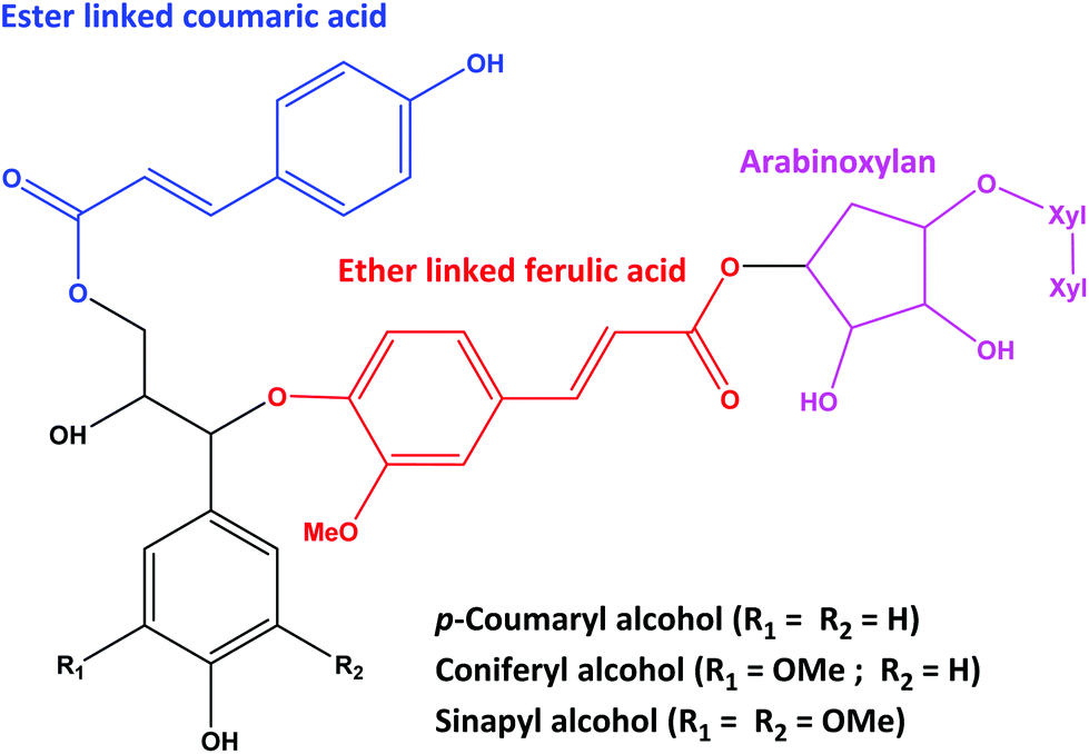 Reductive Catalytic Fractionation Of Agricultural Residue And Energy Crop Lignin And Application Of Lignin Oil In Antimicrobials Green Chemistry Rsc Publishing