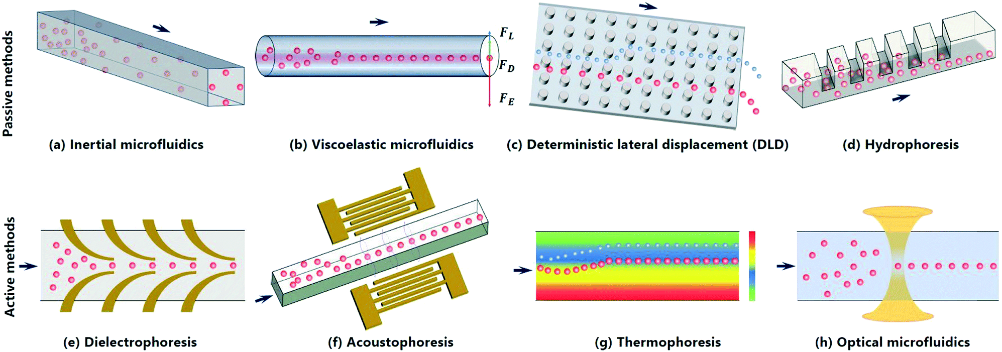 Focusing Of Sub Micrometer Particles In Microfluidic Devices Lab On A Chip Rsc Publishing Focusing Of Sub Micrometer Particles In Microfluidic Devices Lab On A Chip Rsc Publishing