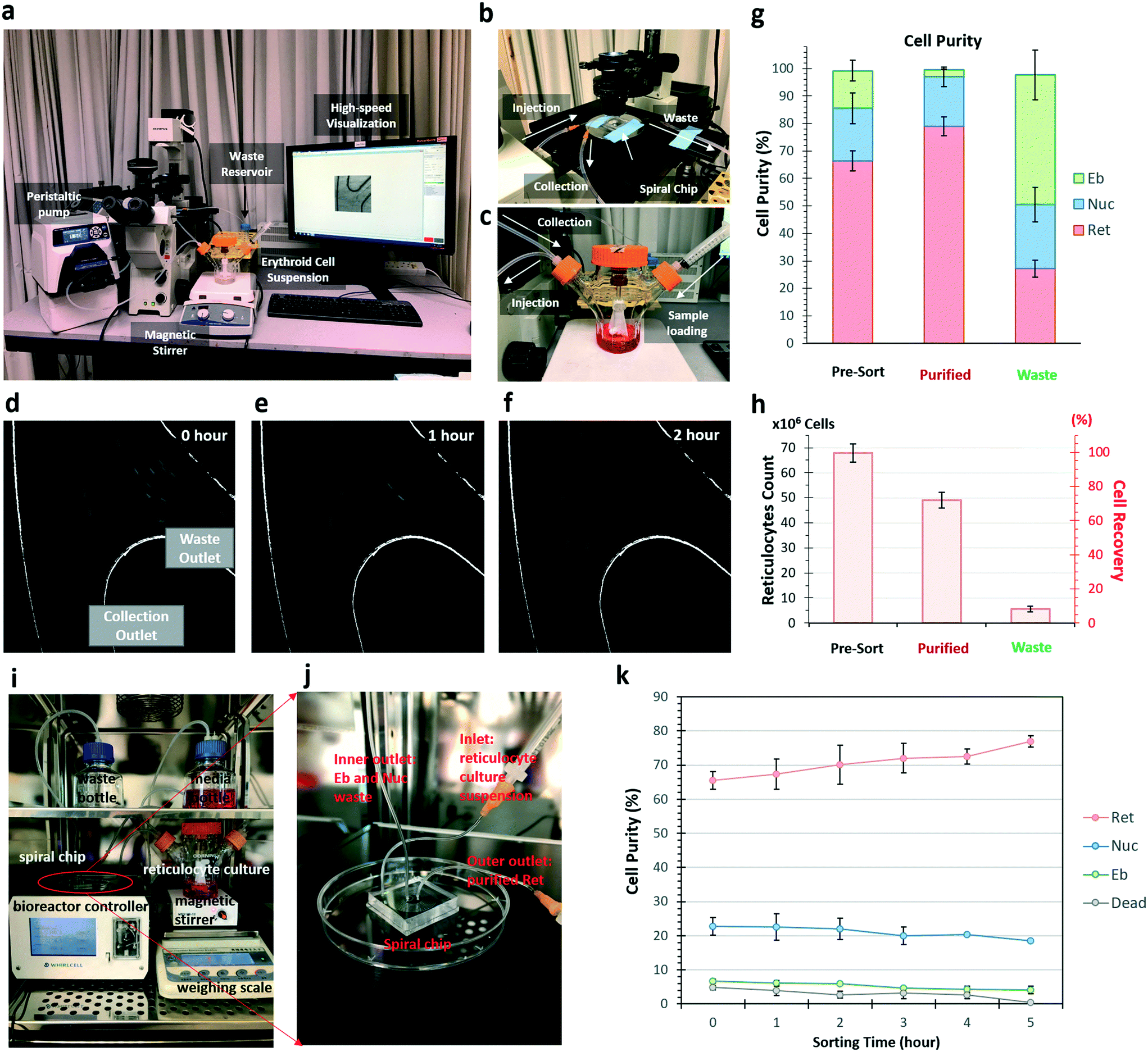 Microfluidic Label-free Bioprocessing Of Human Reticulocytes From ...