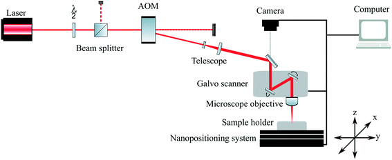 Development of two-photon polymerised scaffolds for optical ...