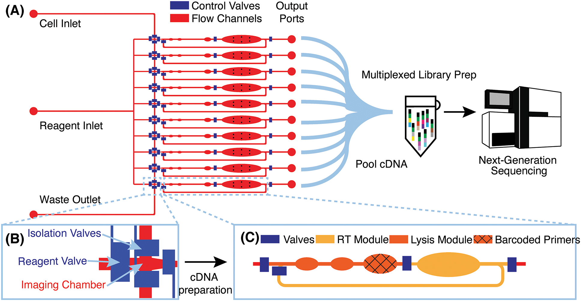 μCB-seq: microfluidic cell barcoding and sequencing for high-resolution ...