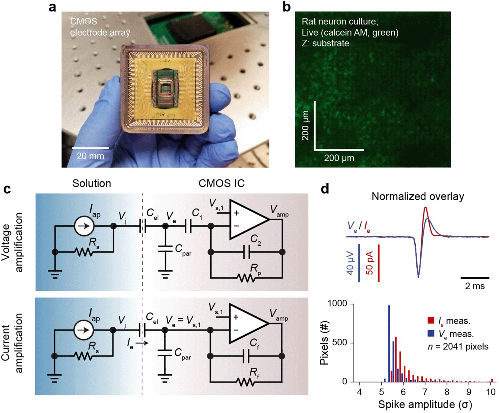 Extracellular Recording Of Direct Synaptic Signals With A Cmos Nanoelectrode Array Lab On A Chip Rsc Publishing