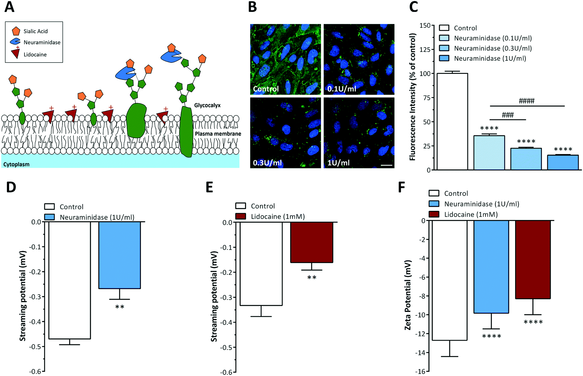 A Chip Device To Determine Surface Charge Properties Of Confluent Cell Monolayers By Measuring Streaming Potential Lab On A Chip Rsc Publishing A Chip Device To Determine Surface Charge Properties Of Confluent Cell Monolayers By Measuring Streaming Potential Lab On A Chip Rsc Publishing