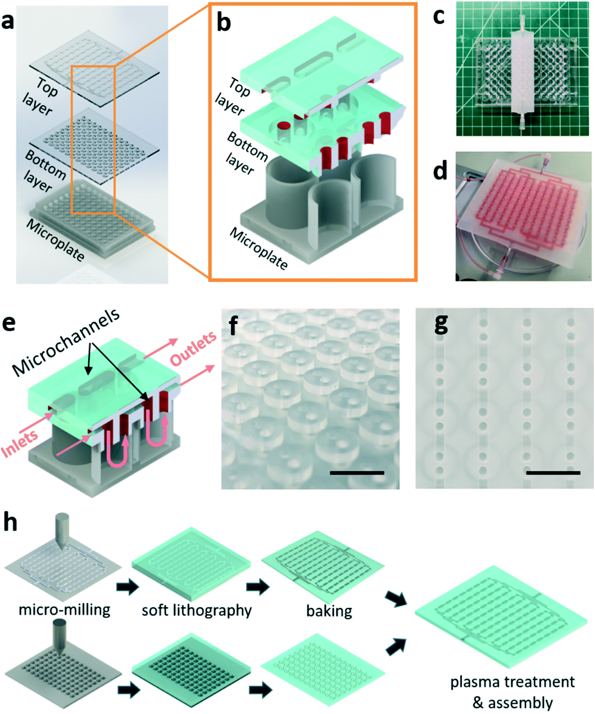 Microfluidics-enabled 96-well Perfusion System For High-throughput ...